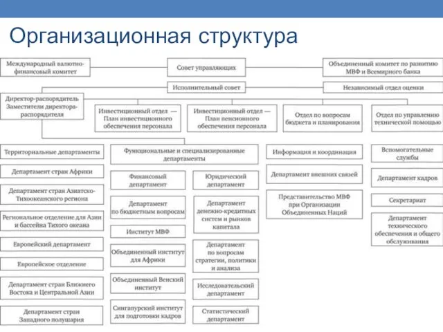 Организационная структура