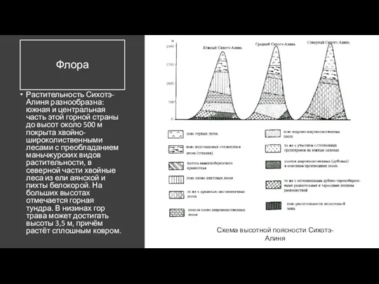 Флора Растительность Сихотэ-Алиня разнообразна: южная и центральная часть этой горной