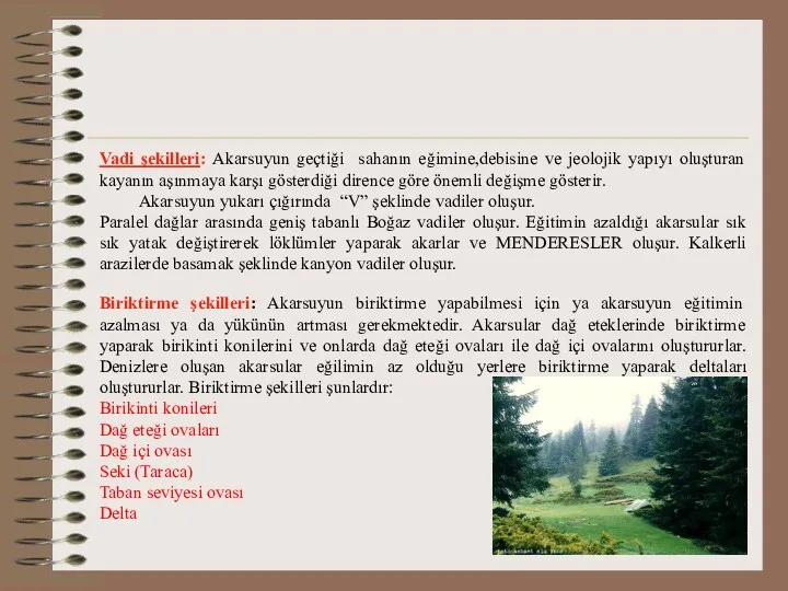 Vadi şekilleri: Akarsuyun geçtiği sahanın eğimine,debisine ve jeolojik yapıyı oluşturan kayanın aşınmaya karşı