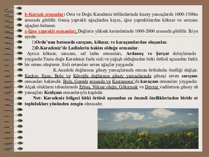 b-Karışık ormanlar: Orta ve Doğu Karadeniz bölümlerinde kuzey yamaçlarda 1000-1500m arasında görülür. Geniş