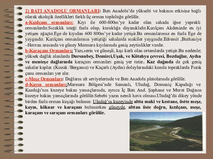 2) BATI ANADOLU ORMANLARI: Batı Anadolu’da yükselti ve bakının etkisine bağlı olarak ekolojik