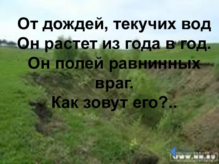 От дождей, текучих вод Он растет из года в год.