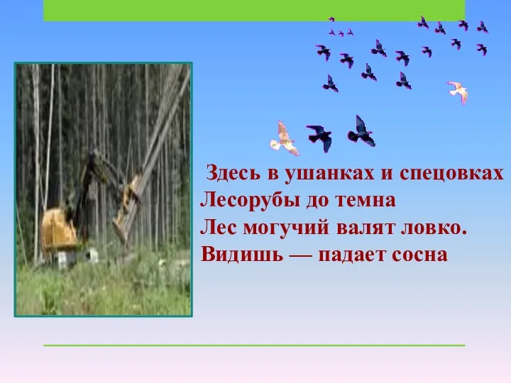 Здесь в ушанках и спецовках Лесорубы до темна Лес могучий валят ловко. Видишь — падает сосна