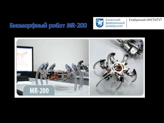Биоморфный робот MR-200
