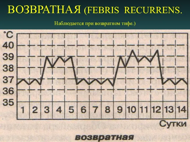 ВОЗВРАТНАЯ (FEBRIS RECURRENS. Наблюдается при возвратном тифе.)