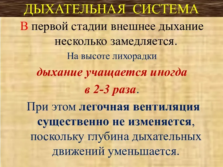 ДЫХАТЕЛЬНАЯ СИСТЕМА В первой стадии внешнее дыхание несколько замедляется. На