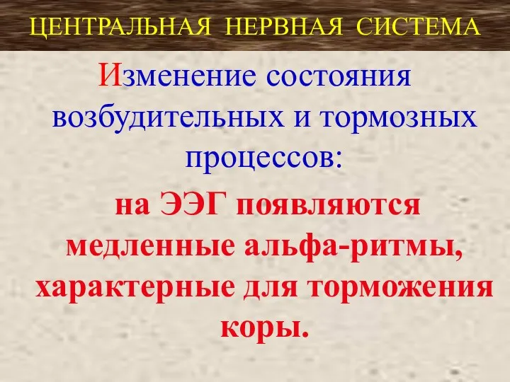 ЦЕНТРАЛЬНАЯ НЕРВНАЯ СИСТЕМА Изменение состояния возбудительных и тормозных процессов: на ЭЭГ появляются медленные