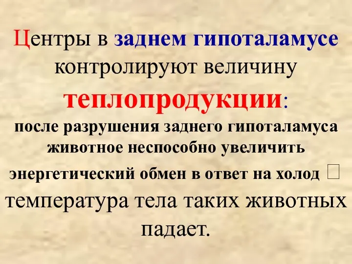 Центры в заднем гипоталамусе контролируют величину теплопродукции: после разрушения заднего гипоталамуса животное неспособно