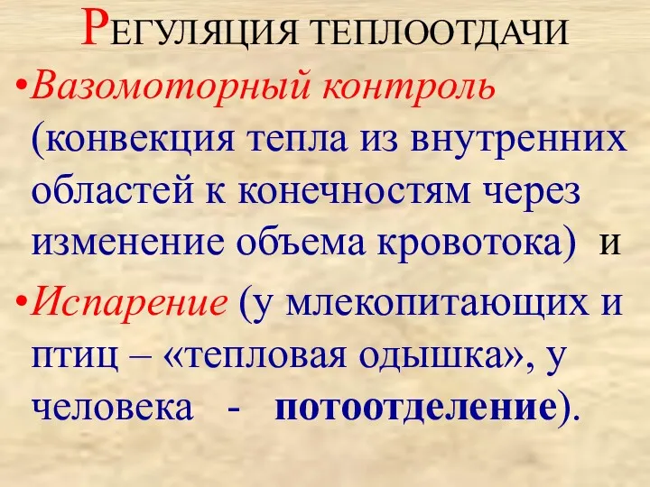 РЕГУЛЯЦИЯ ТЕПЛООТДАЧИ Вазомоторный контроль (конвекция тепла из внутренних областей к