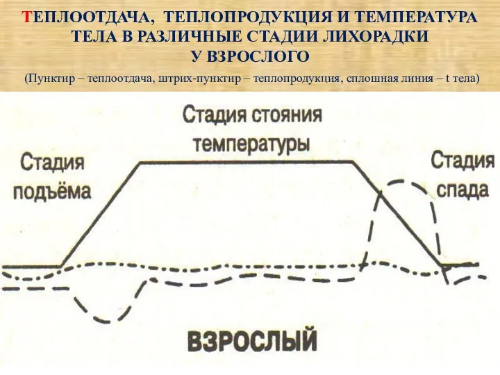 ТЕПЛООТДАЧА, ТЕПЛОПРОДУКЦИЯ И ТЕМПЕРАТУРА ТЕЛА В РАЗЛИЧНЫЕ СТАДИИ ЛИХОРАДКИ У