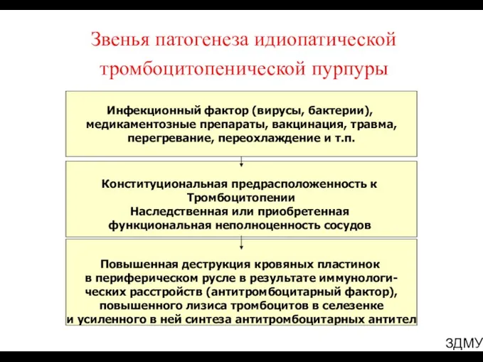 Звенья патогенеза идиопатической тромбоцитопенической пурпуры Инфекционный фактор (вирусы, бактерии), медикаментозные