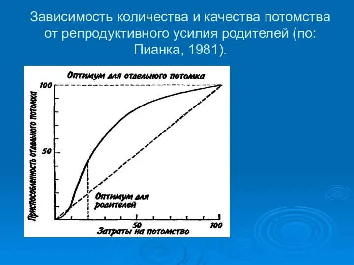 Зависимость количества и качества потомства от репродуктивного усилия родителей (по: Пианка, 1981).