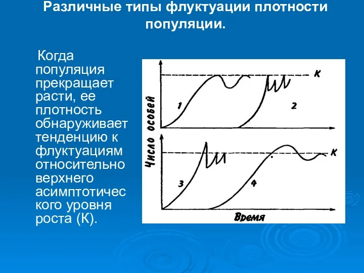 Различные типы флуктуации плотности популяции. Когда популяция прекращает расти, ее плотность обнаруживает тенденцию