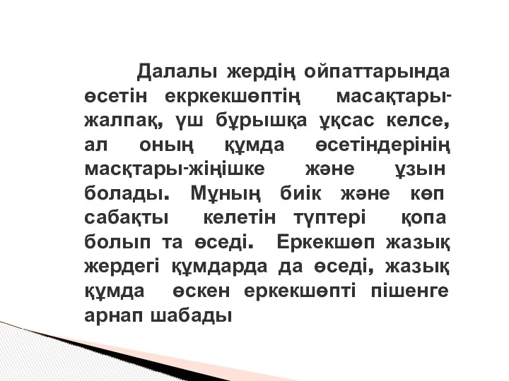 Далалы жердің ойпаттарында өсетін екркекшөптің масақтары-жалпақ, үш бұрышқа ұқсас келсе,