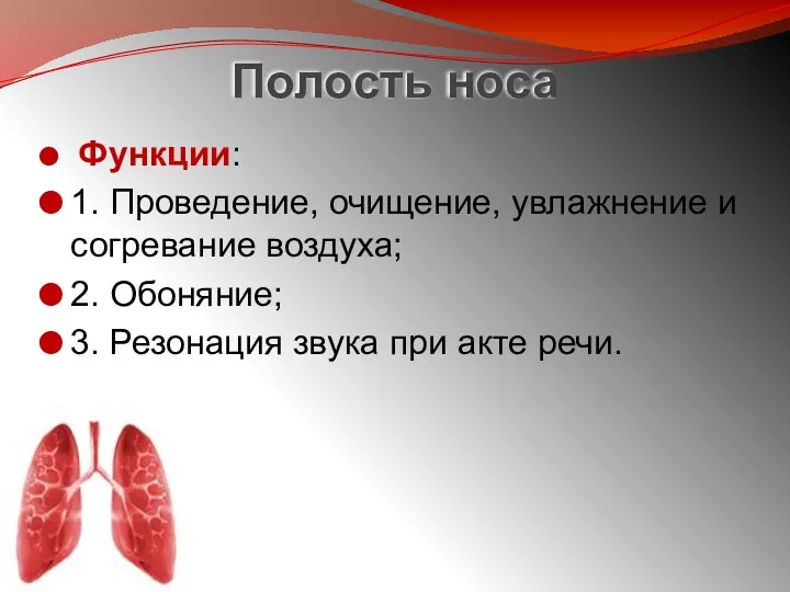 Полость носа Функции: 1. Проведение, очищение, увлажнение и согревание воздуха;