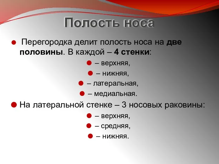 Полость носа Перегородка делит полость носа на две половины. В