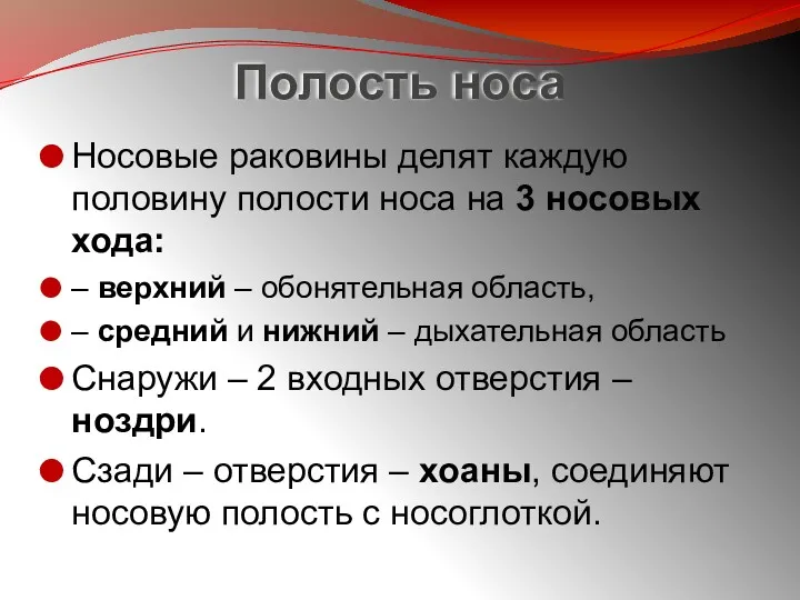 Полость носа Носовые раковины делят каждую половину полости носа на