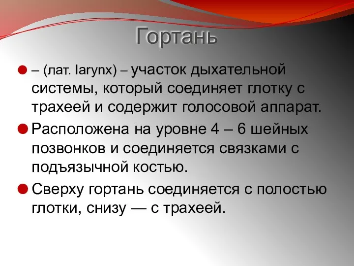 Гортань – (лат. larynx) – участок дыхательной системы, который соединяет