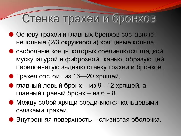 Стенка трахеи и бронхов Основу трахеи и главных бронхов составляют