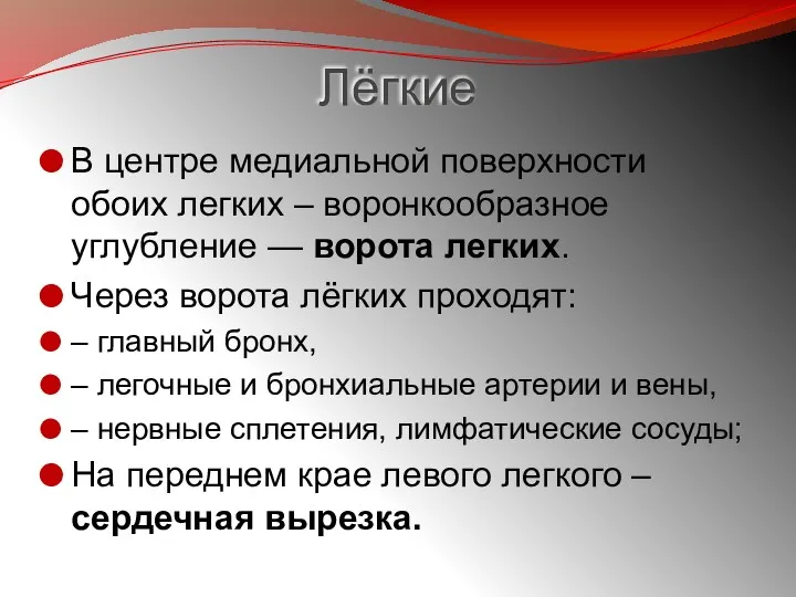 Лёгкие В центре медиальной поверхности обоих легких – воронкообразное углубление