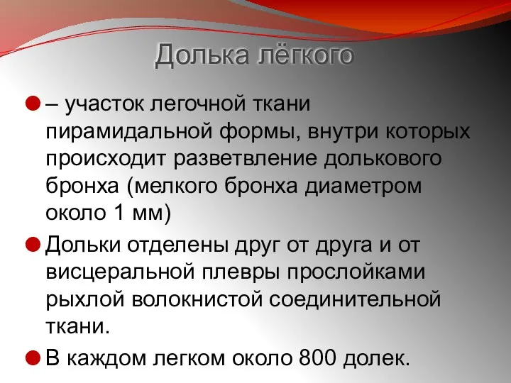 Долька лёгкого – участок легочной ткани пирамидальной формы, внутри которых