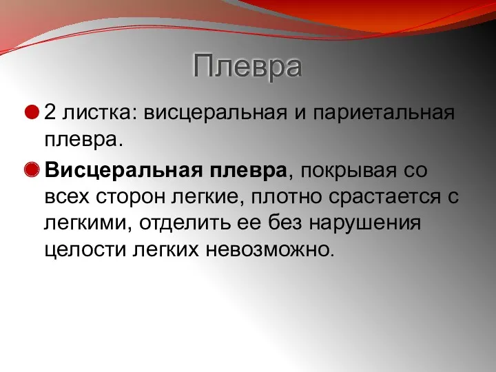 Плевра 2 листка: висцеральная и париетальная плевра. Висцеральная плевра, покрывая