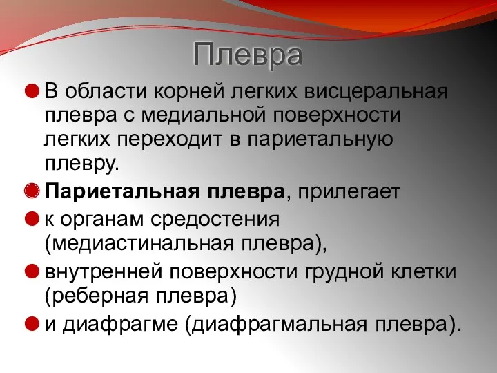 Плевра В области корней легких висцеральная плевра с медиальной поверхности