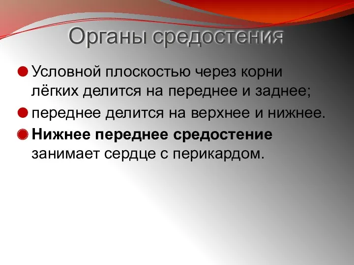 Органы средостения Условной плоскостью через корни лёгких делится на переднее