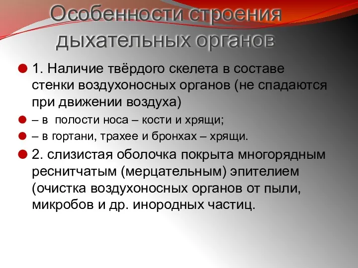 Особенности строения дыхательных органов 1. Наличие твёрдого скелета в составе