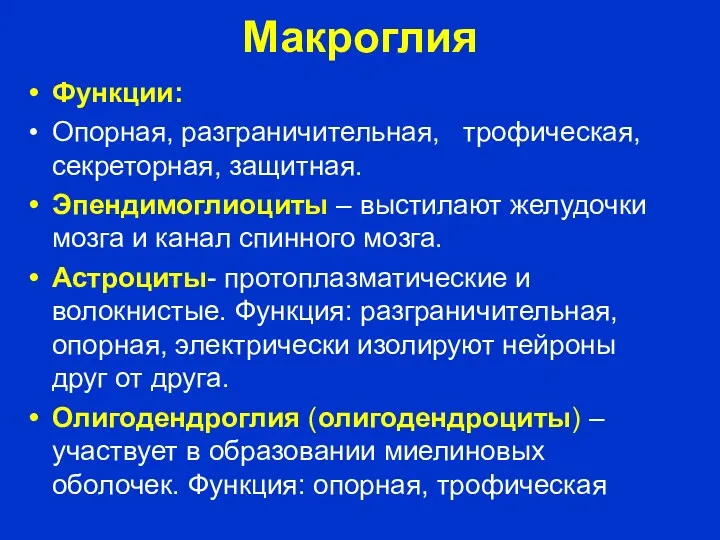 Макроглия Функции: Опорная, разграничительная, трофическая, секреторная, защитная. Эпендимоглиоциты – выстилают