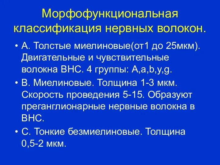 Морфофункциональная классификация нервных волокон. А. Толстые миелиновые(от1 до 25мкм). Двигательные