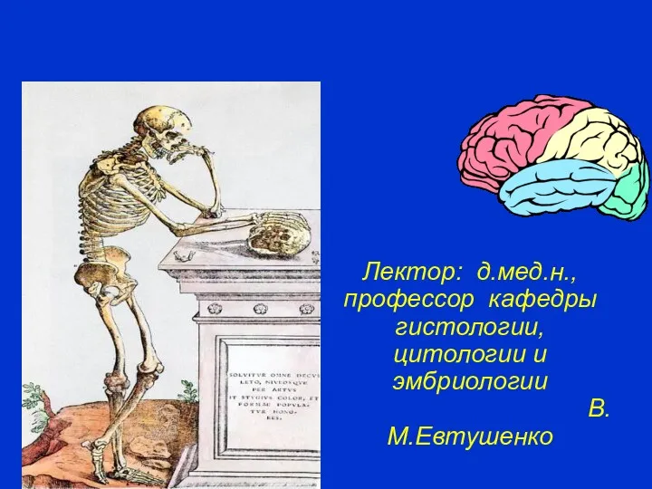 Лектор: д.мед.н., профессор кафедры гистологии, цитологии и эмбриологии В.М.Евтушенко