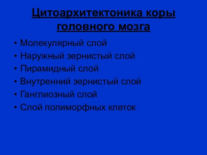 Цитоархитектоника коры головного мозга Молекулярный слой Наружный зернистый слой Пирамидный