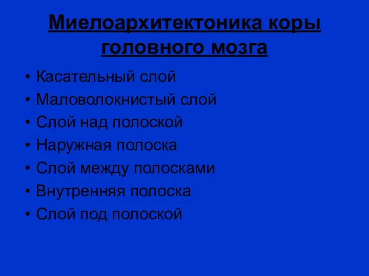 Миелоархитектоника коры головного мозга Касательный слой Маловолокнистый слой Слой над