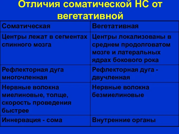 Отличия соматической НС от вегетативной