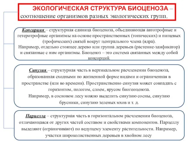 ЭКОЛОГИЧЕСКАЯ СТРУКТУРА БИОЦЕНОЗА – соотношение организмов разных экологических групп. Консорция