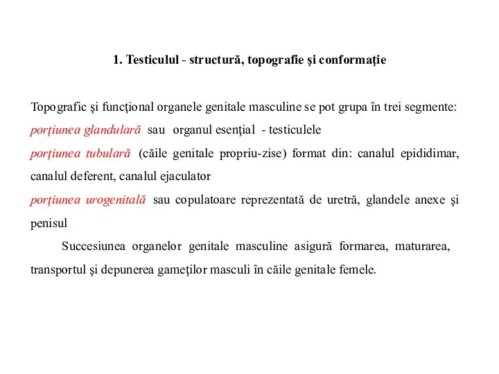 1. Testiculul - structură, topografie şi conformaţie Topografic şi funcţional