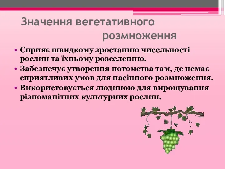 Значення вегетативного розмноження Сприяє швидкому зростанню чисельності рослин та їхньому