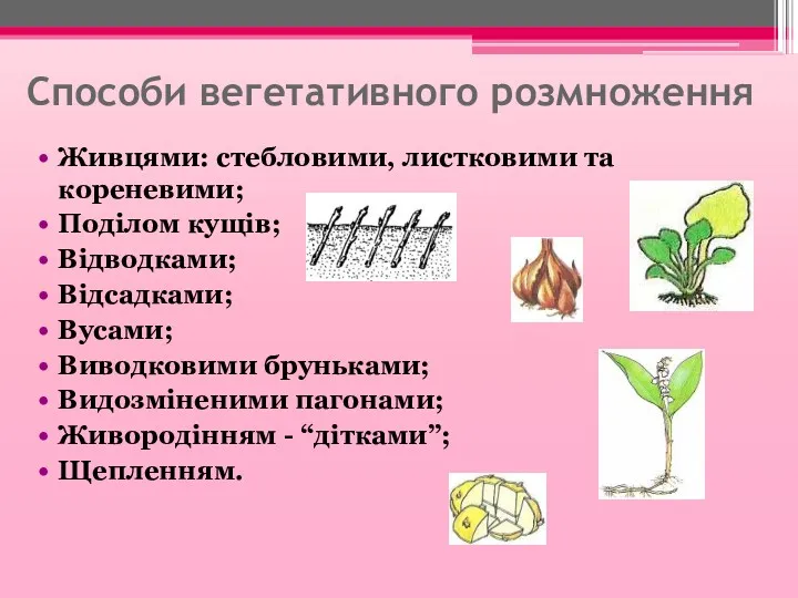 Способи вегетативного розмноження Живцями: стебловими, листковими та кореневими; Поділом кущів;