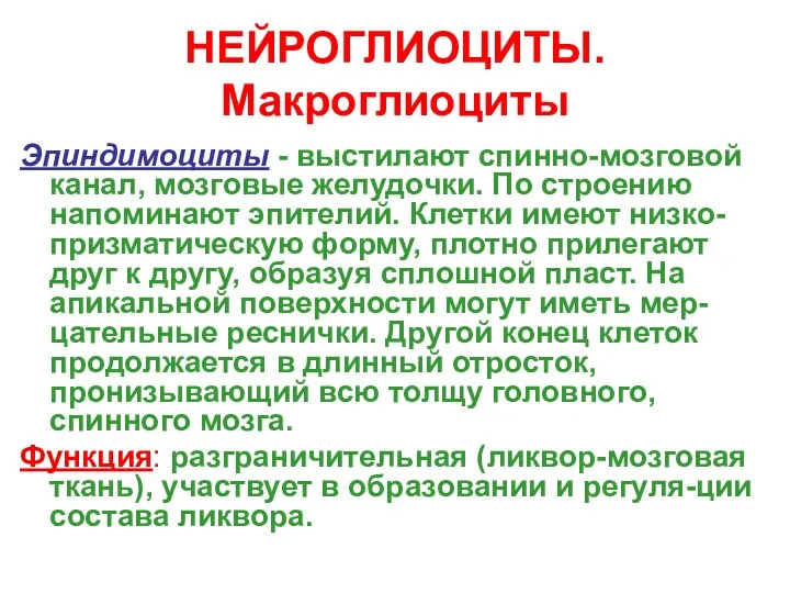 НЕЙРОГЛИОЦИТЫ. Макроглиоциты Эпиндимоциты - выстилают спинно-мозговой канал, мозговые желудочки. По