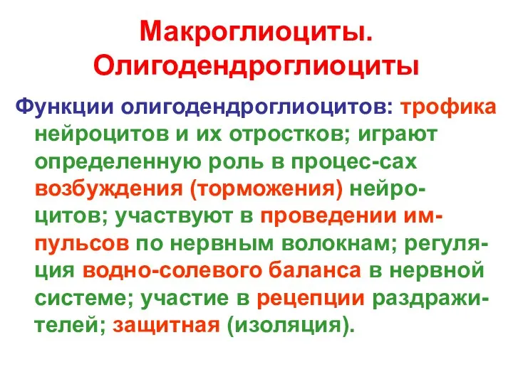 Макроглиоциты. Олигодендроглиоциты Функции олигодендроглиоцитов: трофика нейроцитов и их отростков; играют