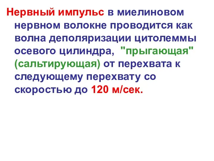 Нервный импульс в миелиновом нервном волокне проводится как волна деполяризации