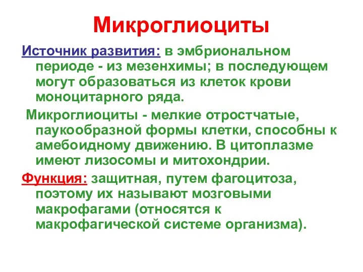 Микроглиоциты Источник развития: в эмбриональном периоде - из мезенхимы; в