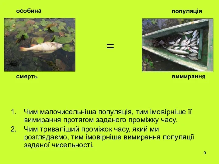 Чим малочисельніша популяція, тим імовірніше її вимирання протягом заданого проміжку