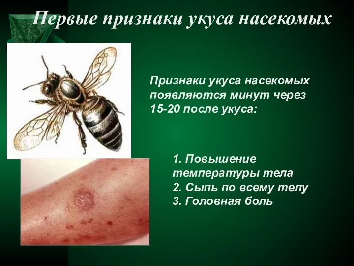 Первые признаки укуса насекомых Признаки укуса насекомых появляются минут через