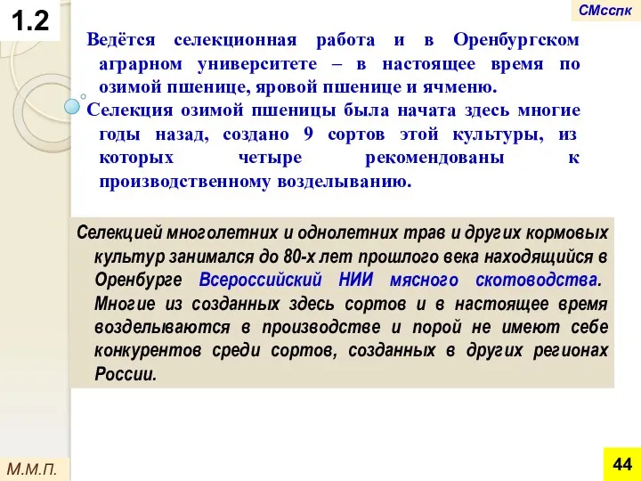 1.2 М.М.П. Ведётся селекционная работа и в Оренбургском аграрном университете