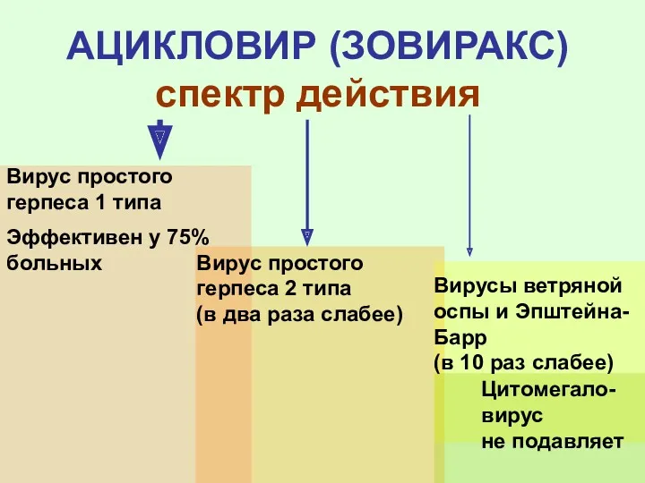 АЦИКЛОВИР (ЗОВИРАКС) спектр действия Вирус простого герпеса 1 типа Вирус