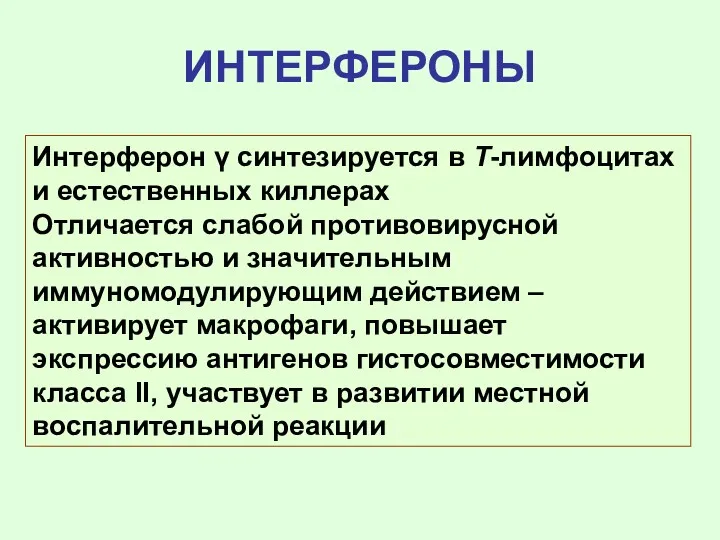 ИНТЕРФЕРОНЫ Интерферон γ синтезируется в Т-лимфоцитах и естественных киллерах Отличается