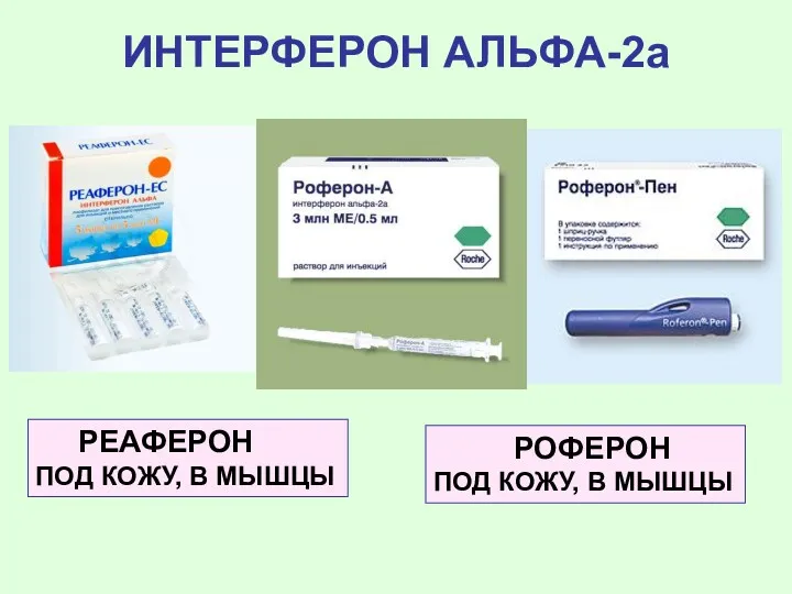 ИНТЕРФЕРОН АЛЬФА-2а РОФЕРОН ПОД КОЖУ, В МЫШЦЫ РЕАФЕРОН ПОД КОЖУ, В МЫШЦЫ