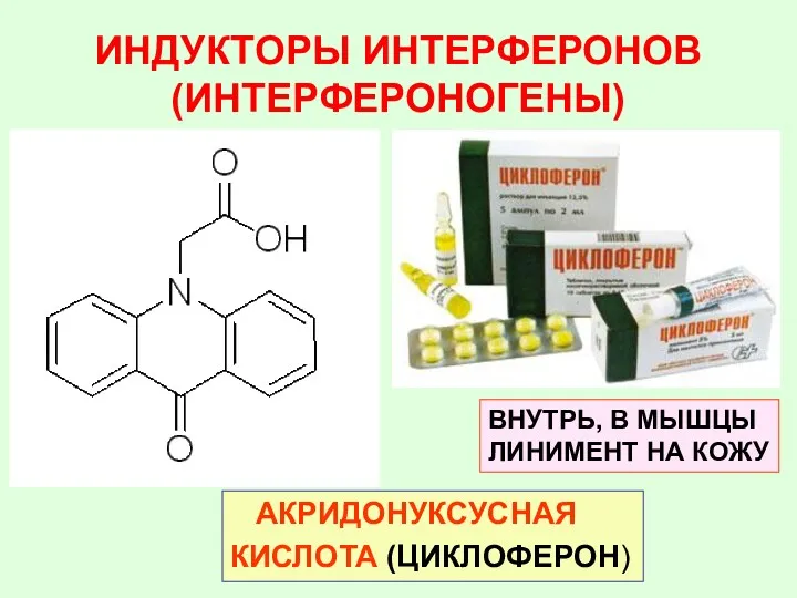 ИНДУКТОРЫ ИНТЕРФЕРОНОВ (ИНТЕРФЕРОНОГЕНЫ) АКРИДОНУКСУСНАЯ КИСЛОТА (ЦИКЛОФЕРОН) ВНУТРЬ, В МЫШЦЫ ЛИНИМЕНТ НА КОЖУ